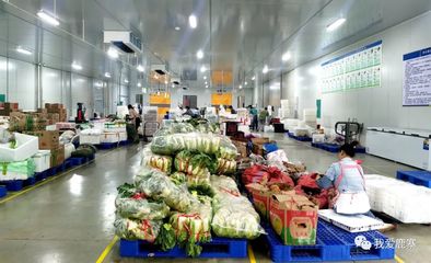 增速柳州第一！鹿寨一季度一产实现“开门红” 农副产品销售强劲增长