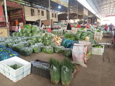 年交易量达9.8亿吨！天王农副产品交易中心扩建加速，打造现代流通新枢纽