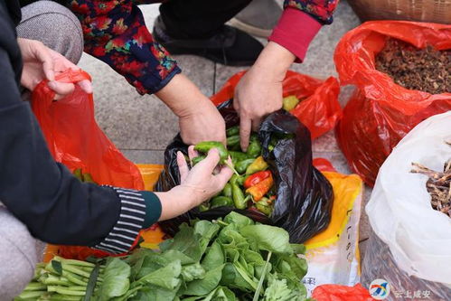 大幕乡消费扶贫赶集日 农副产品热销，农户笑逐颜开
