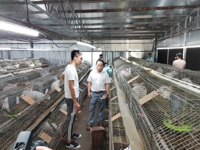 合山市电子商务运营中心 架设数字金桥，助力农副产品畅销四方