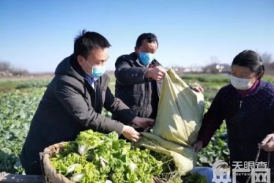 光山县鑫磊农业专业合作社 农副产品销售的新探索与新成效