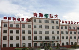 溯农姓本源 铸弘大品牌——湟中弘大农副产品购销多维度服务体系解析