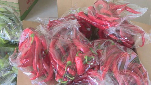 政府搭台 农户自救 泉港农副产品搭上电商快车道
